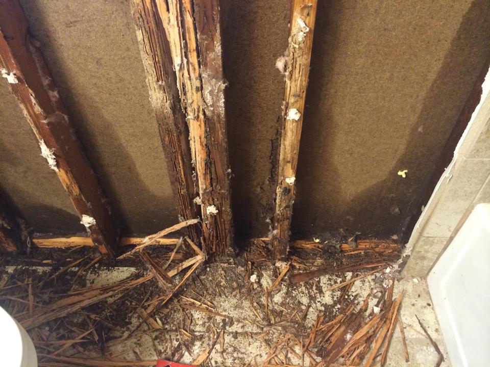 Barfield Home Inspections attic inspection photo 22