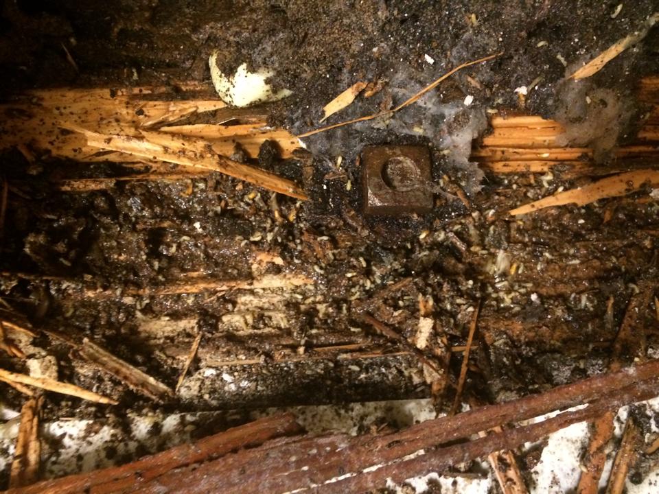 Barfield Home Inspections crawlspace inspection photo 24