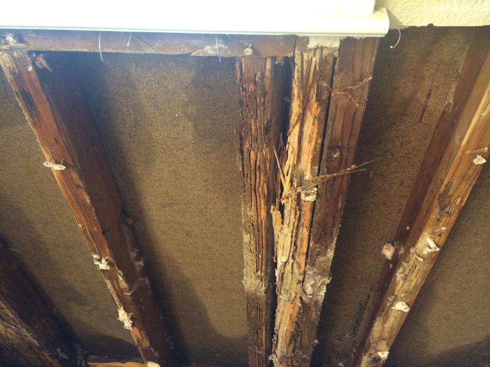 Barfield Home Inspections termite inspection photo 25
