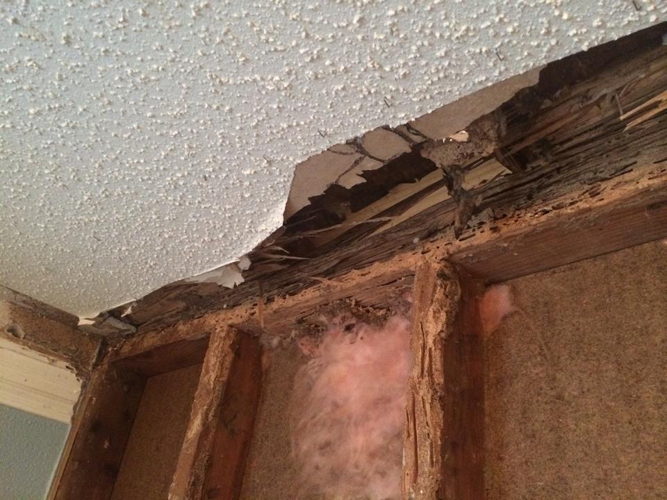Barfield Pest Control termite treatment photo 28