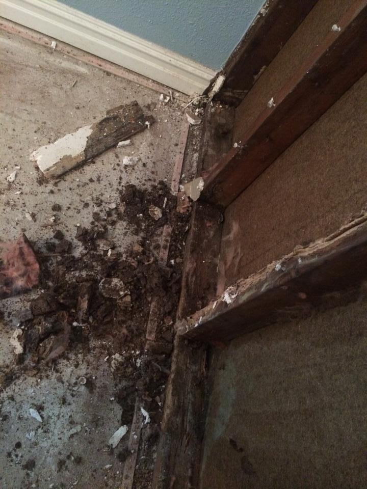 Barfield Pest Control termite treatment photo 29