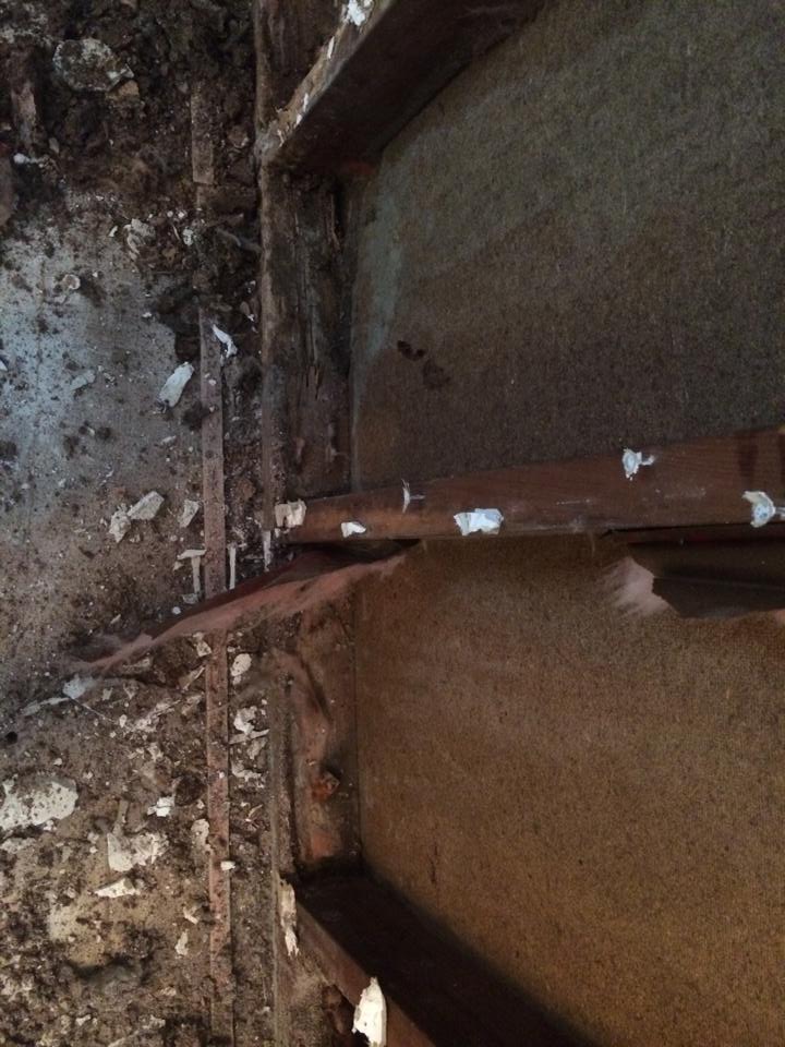 Barfield Pest Control pest treatment photo 30