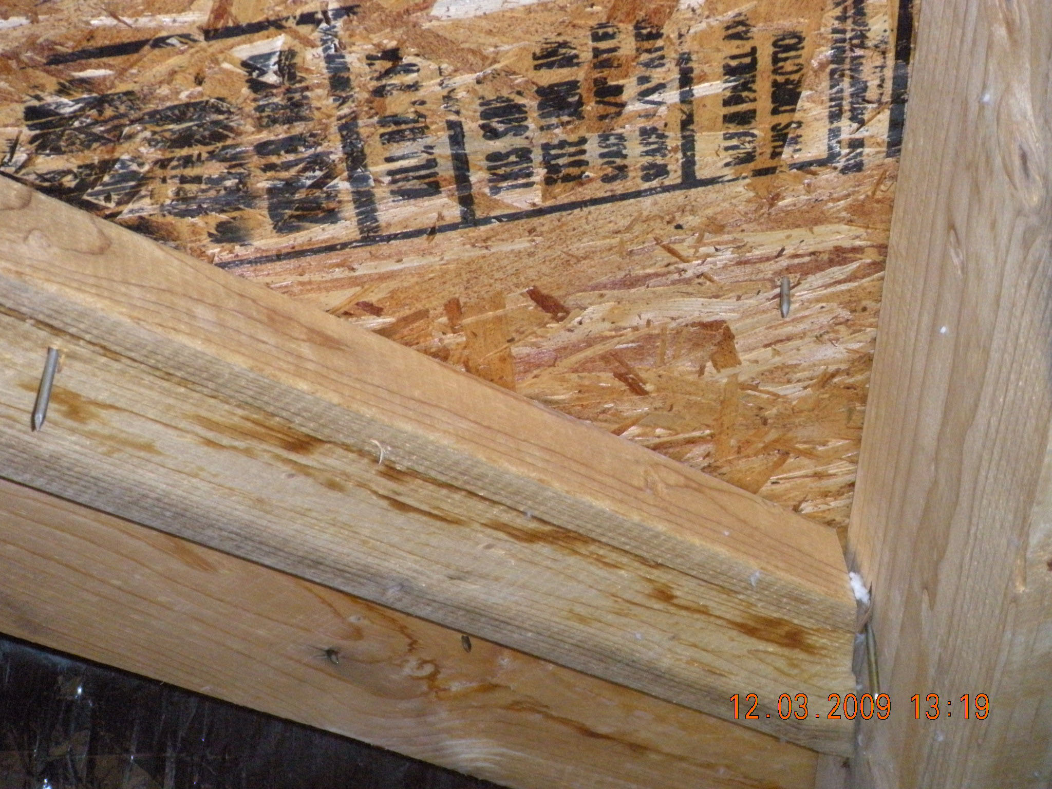 Barfield Home Inspections moisture detection photo 39